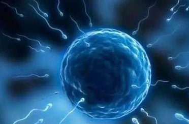 2026年试管助孕新选择：湖南长沙专业助孕公司机构名单推荐