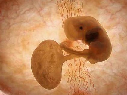 上海新华医院做试管婴儿的流程是怎么样的？