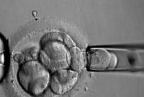 西藏助孕生子价格_西藏试管助孕公司【想高成功率助孕首选】