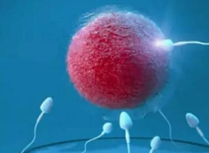 并非所有人都能做试管婴儿，这些女性才适合